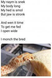 My Naym is snek Meme Template