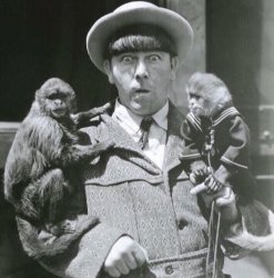 Moe and the monkeys Meme Template