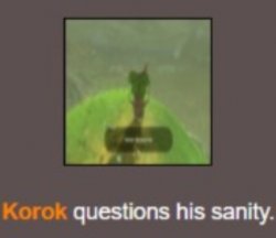 Korok questions his sanity Meme Template