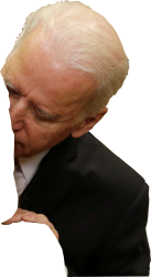 Joe Biden sniffing 2 - flip Meme Template
