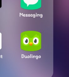 Duolingo Meme Template