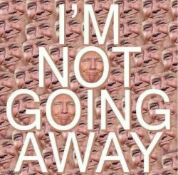 Trump I’m not going away Meme Template