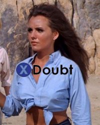 X doubt Dawn Wells Meme Template