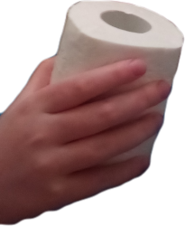 Toilet paper Meme Template