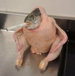 Smoking Fish in raw chicken Meme Template
