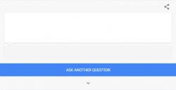 Google ask a question Meme Template