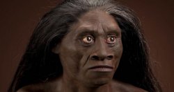 Homo florensis Meme Template