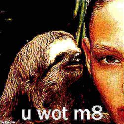 Whisper sloth u wot m8 deep-fried 1 Meme Template