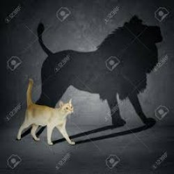 cat with lion sadow Meme Template