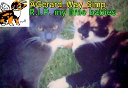 Gerard_Way_Simp announcement template Meme Template