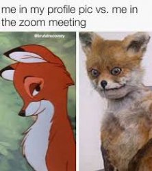 what i look like fox Meme Template