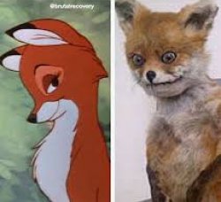 what i look like fox vs *blank* Meme Template