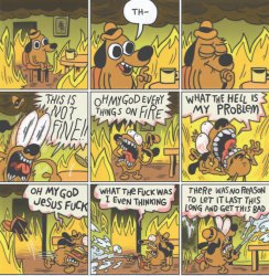 This is NOT FINE full comic Meme Template