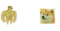 Buff cheems vs crying doge Meme Template