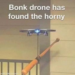 Bonk drone Meme Template