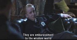 They are embarassment to the wisdom world Meme Template