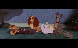 The worst family picture ever (Lady and the Tramp) Meme Template