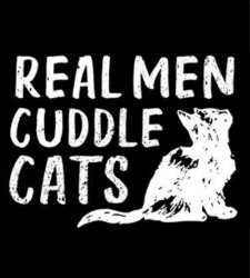 Real men cuddle cats Meme Template