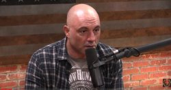 Joe Rogan Meme Template