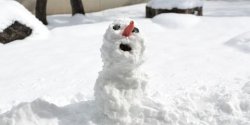 snowman Meme Template