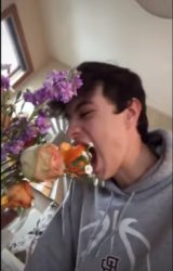 eating flowers Meme Template