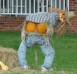 Saucy Scarecrow! Meme Template