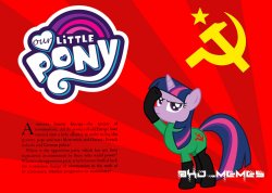 Our little pony Meme Template