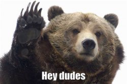 Bear Hey dudes Meme Template