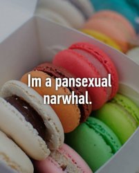 i'm a pansexual narwhal Meme Template