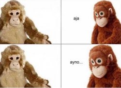 shifty eyes monkey meme