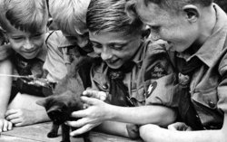 Kittens and Nazi Youth Meme Template