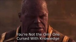 your not the only one cursed with knowledge Meme Template