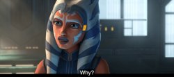 Why Ahsoka Meme Template