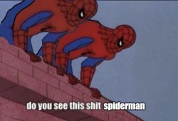 Do you see this shit spiderman Meme Template