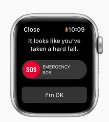 Apple watch fall alarm Meme Template