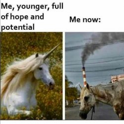 Unicorn and great value unicorn Meme Template