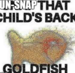 Un-snap that child's back goldfish Meme Template