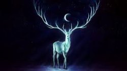 the deer Meme Template
