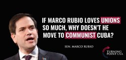 Marco Rubio Turning Point USA Meme Template