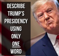 Describe Trump's Presidency using only one word Meme Template