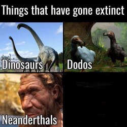 Things gone extinct Meme Template