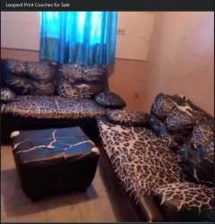 Leopard Print Couches for sale Meme Template