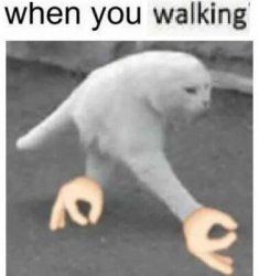 walk Meme Template