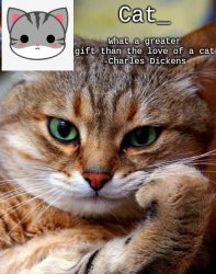 Cat_ Announcement template Meme Template