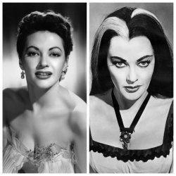 Yvonne De Carlo Meme Template