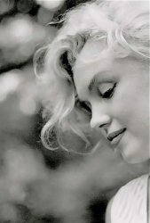 Marilyn Monroe profile Meme Template
