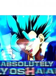 absolutely yoshaa Meme Template
