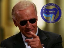 Cool Joe Biden Antimalarkey action Meme Template