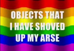 Objects That I Have Shoved Up My Arse Meme Template