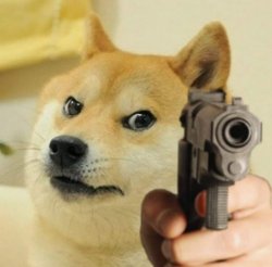 doge is mad Meme Template